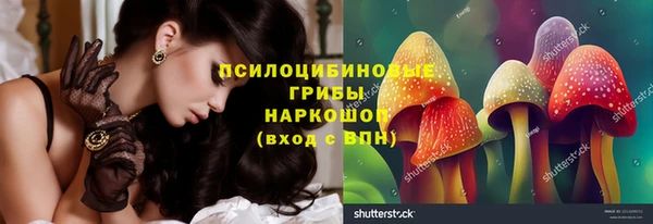 спиды Абаза