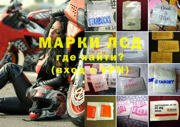 ПСИЛОЦИБИНОВЫЕ ГРИБЫ Семилуки